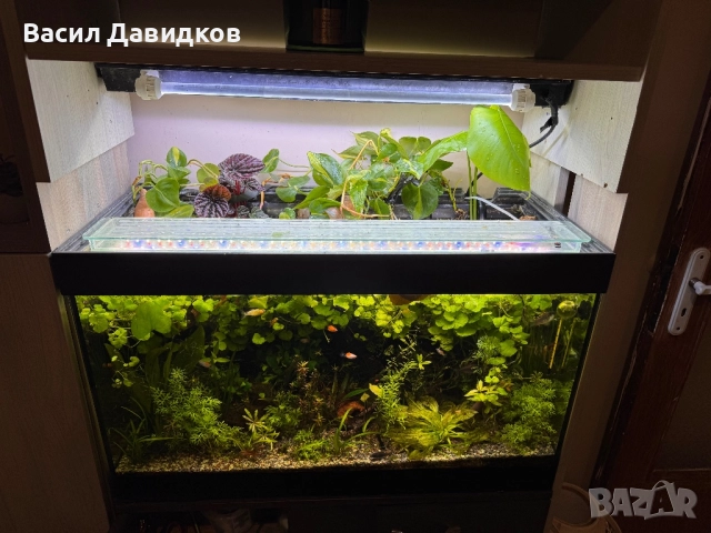 Въглерод пълен комплект , осветление 80См , снимка 4 - Оборудване за аквариуми - 52163042
