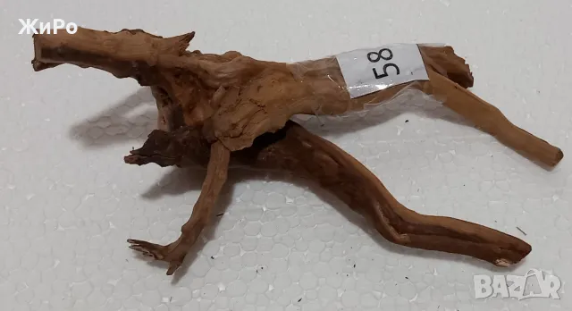 Корен от Азалия /декорация/ 58, снимка 2 - Други - 49874946