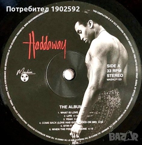  Haddaway ‎– The Album  , снимка 2 - Грамофонни плочи - 54175959