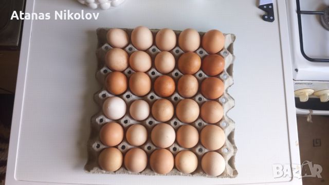 Яйца от свободно отглеждани кокошки 