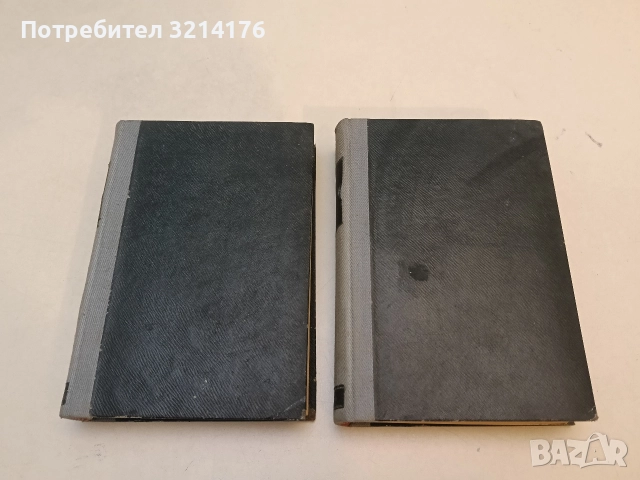 Наследството на Гулденбург. Книга 2-3 - Аксел Роде, Аксел Роде, Михаел Байер, снимка 3 - Художествена литература - 52710146