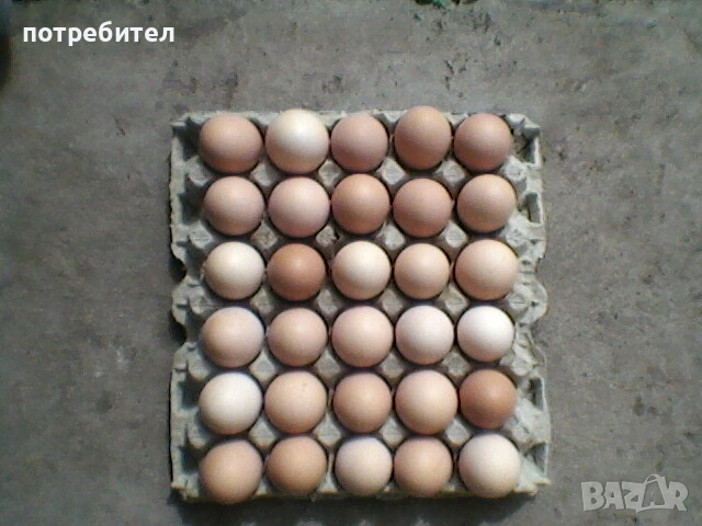 Продавам домашни кокоши яйца