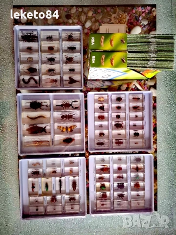 „Истински БУБОЛЕЧКИ и чудновати животинки“ – Пълна колекция (75 бр.), снимка 3 - Колекции - 53126815