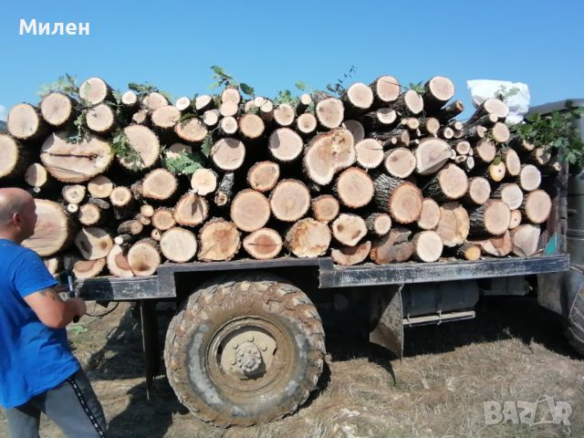 Продавам дърва за огрев, снимка 5 - Дърва за огрев - 45157584