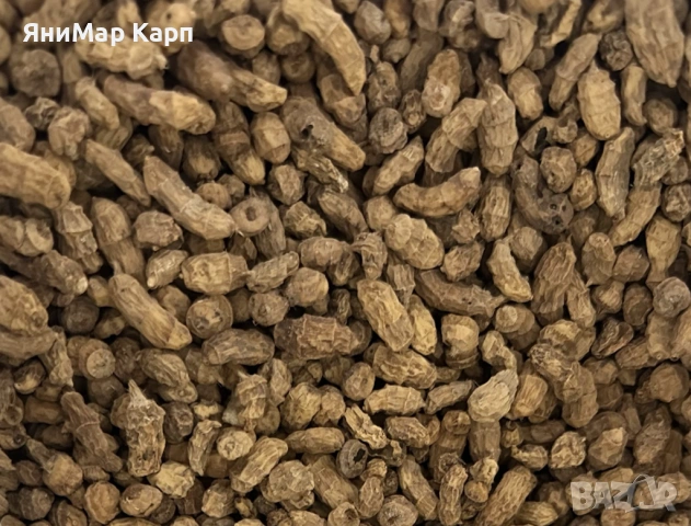 Тигров фъстък 8/20 мм - 1 кг 