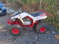 Can-Am DS 250 2009 , снимка 8