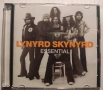 Неофициални cd / цд дискове - нови - Lynyrd Skynyrd , снимка 11