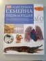 Илюстрована семейна енциклопедия - том 2 А-В, том 9 М-О, снимка 6