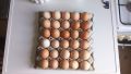 Яйца от свободно отглеждани кокошки 