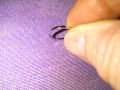 Пръстенче сребърно детско или за тънък пръст кутре фи15мм проба С 925, снимка 5