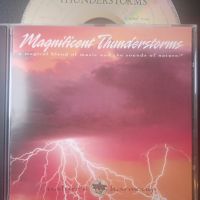 Skip Adams & Rick Rhodes ‎– Magnificent Thunderstorms оригинален диск музика, снимка 1 - CD дискове - 45422546