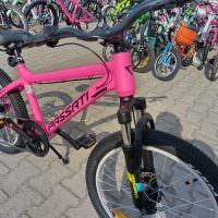 PASSATI Велосипед с дискови спирачки 20" ALUMINIUM розов, снимка 12 - Велосипеди - 46130033