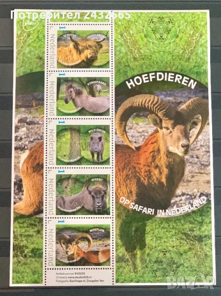 2491. Нидерландия 2024 = “ Фауна. На сафари в Холандия : Копитни животни.“, MNH, **, снимка 1