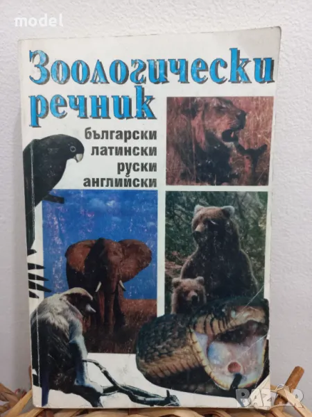 Зоологически речник , снимка 1