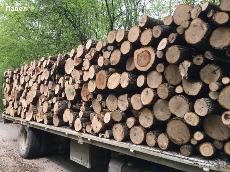 ДЪРВА ЗА ОГРЕВ, снимка 1