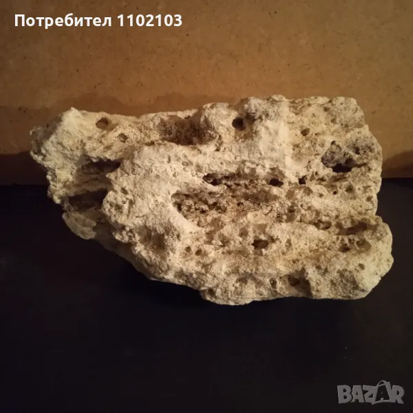 Камък Варовик, снимка 1