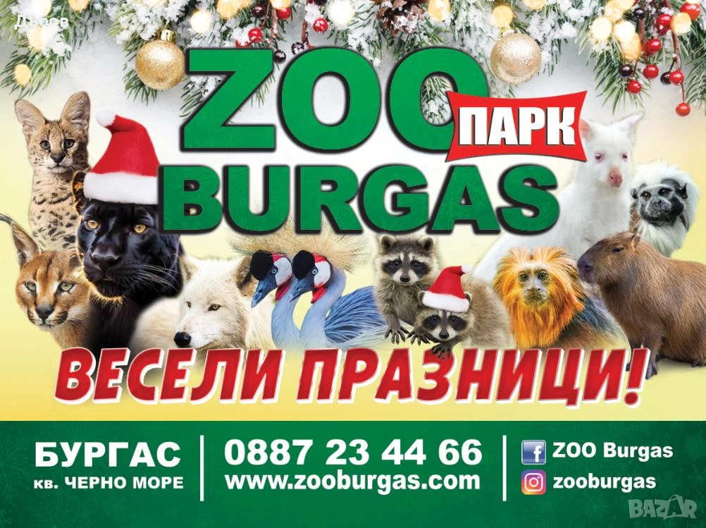 работници в зоопарк Бургас  мъже - 2000лв -1 022,58 €, снимка 1