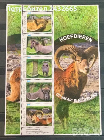 2491. Нидерландия 2024 = “ Фауна. На сафари в Холандия : Копитни животни.“, MNH, **