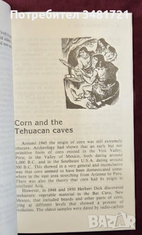 Великите култури на Мезоамерика / The Great Cultures of Mesoamerica, снимка 3 - Енциклопедии, справочници - 53749234