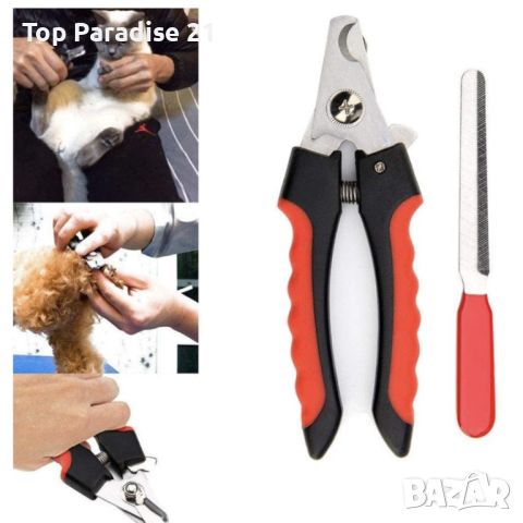 Ножици за нокти на домашен любимец + пила . , снимка 1 - За кучета - 45818681