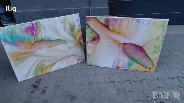 картини 2бр. , снимка 2 - Други стоки за дома - 53918657