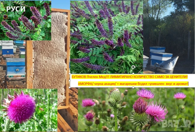 Пчелен мед- БУТИКОВ/Аморфа-черна акация+магарешки бодил/ -уникален вкус и аромат. Продава се в нови, снимка 1