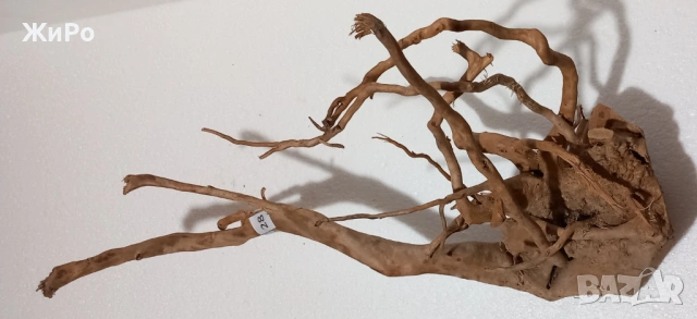 Корен от Азалия /декорация/ 28, снимка 3 - Други - 48966143