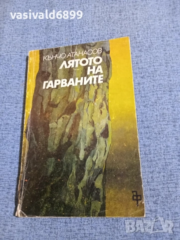 Кънчо Атанасов - Лятото на гарваните 