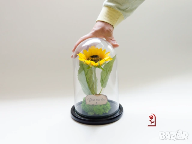 Вечен Слънчоглед в Стъкленица със Скандинавски Мъх / Подарък със Символика за Щастие и Дълголетие, снимка 5 - Подаръци за жени - 54060102