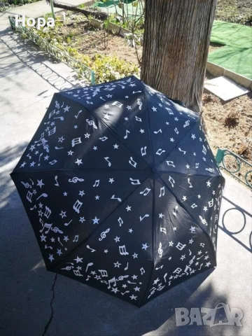 Магически чадъри с ноти, снимка 9 - Други - 52242070