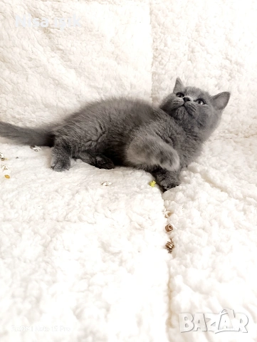 момченце побързайте за да го гушкате в Хасково сме момченце 