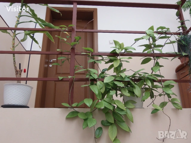 Olympus SP-720UZ 14 mPx, снимка 15 - Фотоапарати - 53227560