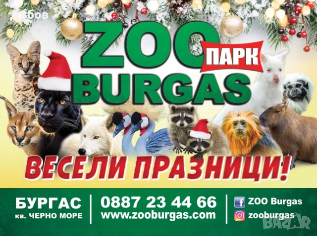 работници в зоопарк Бургас  мъже - 2000лв -1 022,58 €