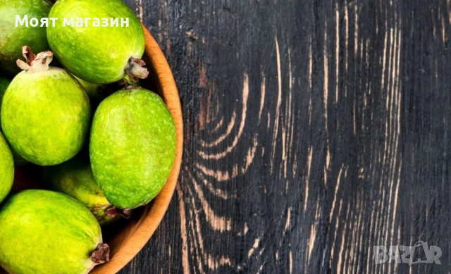 Фейхоа Ананасова Гуава, снимка 2 - Градински цветя и растения - 53641210