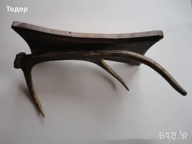 Ловен трофей закачалка еленов рог , снимка 5 - Антикварни и старинни предмети - 50283790