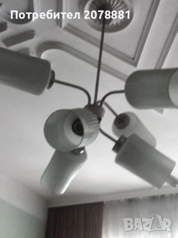 Полилей, снимка 6 - Полилеи - 51265368