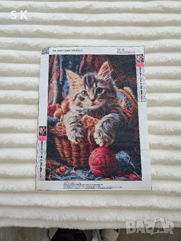 Диамантен гоблен 30/40, снимка 2 - Гоблени - 53627678