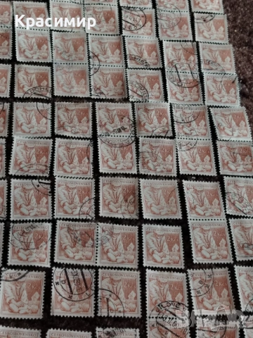 Czechoslovakia Medicin Doctor 1954 г. 225 бр. , снимка 6 - Филателия - 53174260
