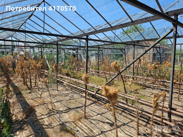 Продава се стъклена оранжерия, снимка 14 - Оранжерии - 51654998