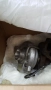 Турбо TD05HRА-16G6mC, снимка 2