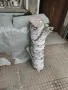 броя брезови трупи с красива бяла кора – за декорация и дизайн Описание:, снимка 2