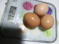 Домашни яйца, снимка 1 - Кокошки и пуйки - 45870998