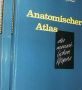 Anatomischer atlas. Ferenc Kiss, Janos Szentagothai, снимка 1 - Специализирана литература - 45924744