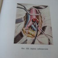 Оперативна хирургия - том 3 - 1962 г., снимка 6 - Специализирана литература - 45687465