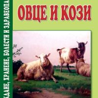 Овце и кози – Развъждане, хранене, болести и здравеопазване, снимка 1 - Специализирана литература - 45860487