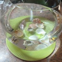 Стъклена купа за аквариум или декорация, снимка 2 - Аквариуми - 45477851