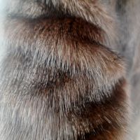 Норково палто "Furssgirl"., снимка 9 - Палта, манта - 45467663