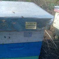кошери магазини пчеларски инвентар, снимка 1 - За пчели - 45163767