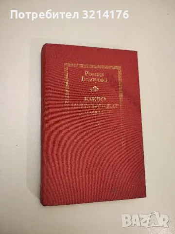 Вратата на щастието - Алексис Парадисис, снимка 4 - Художествена литература - 48679344