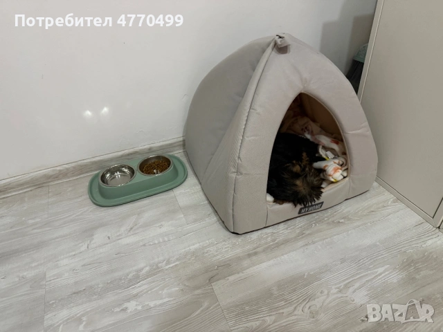 Йоркширски териер ! Топ, снимка 3 - Йоркширски териер - 53895117